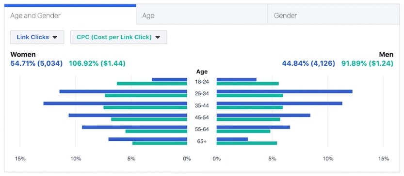 Facebook Audience Overview