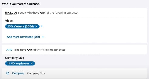 LinkedIn Final Target Audience